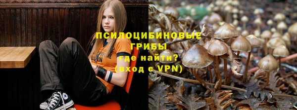 MDMA Premium VHQ Дмитров