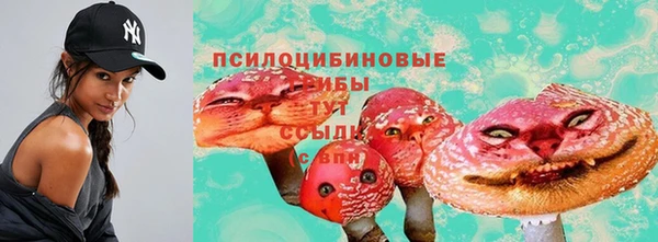 гидропоника Дмитровск