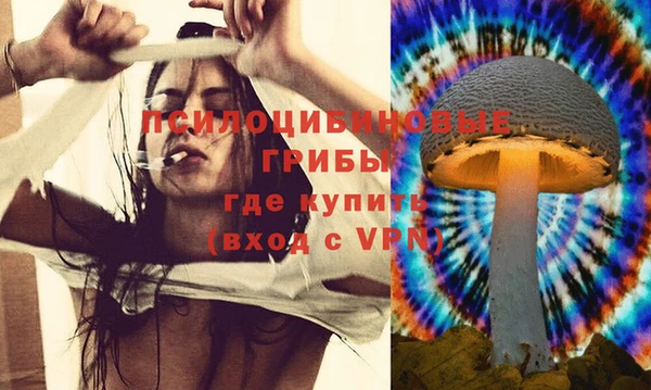 гидропоника Дмитровск