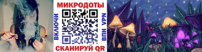 мега как зайти Кадников Галлюциногенные грибы мицелий как найти закладки